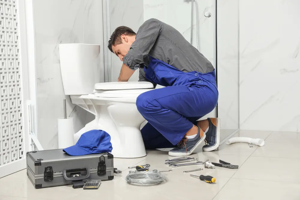 Toilet Installation in Delmar